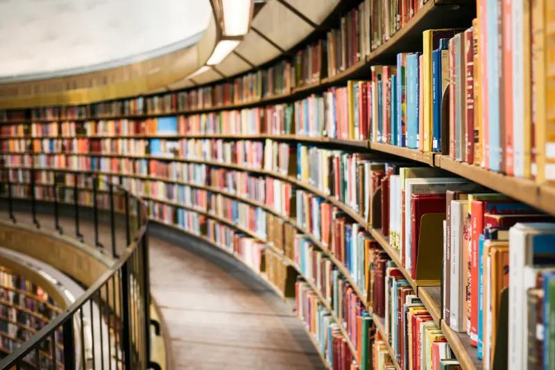 Bildung & Weiterbildung