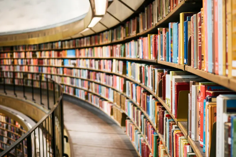 Bildung & Weiterbildung