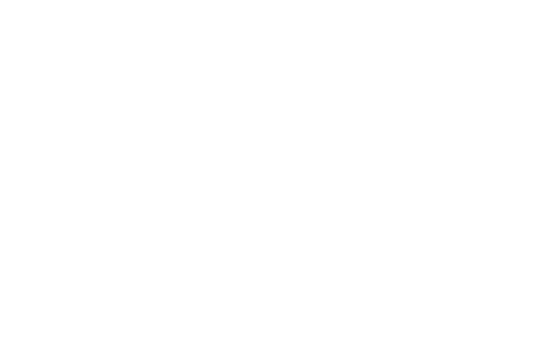Gebrüder Weiss